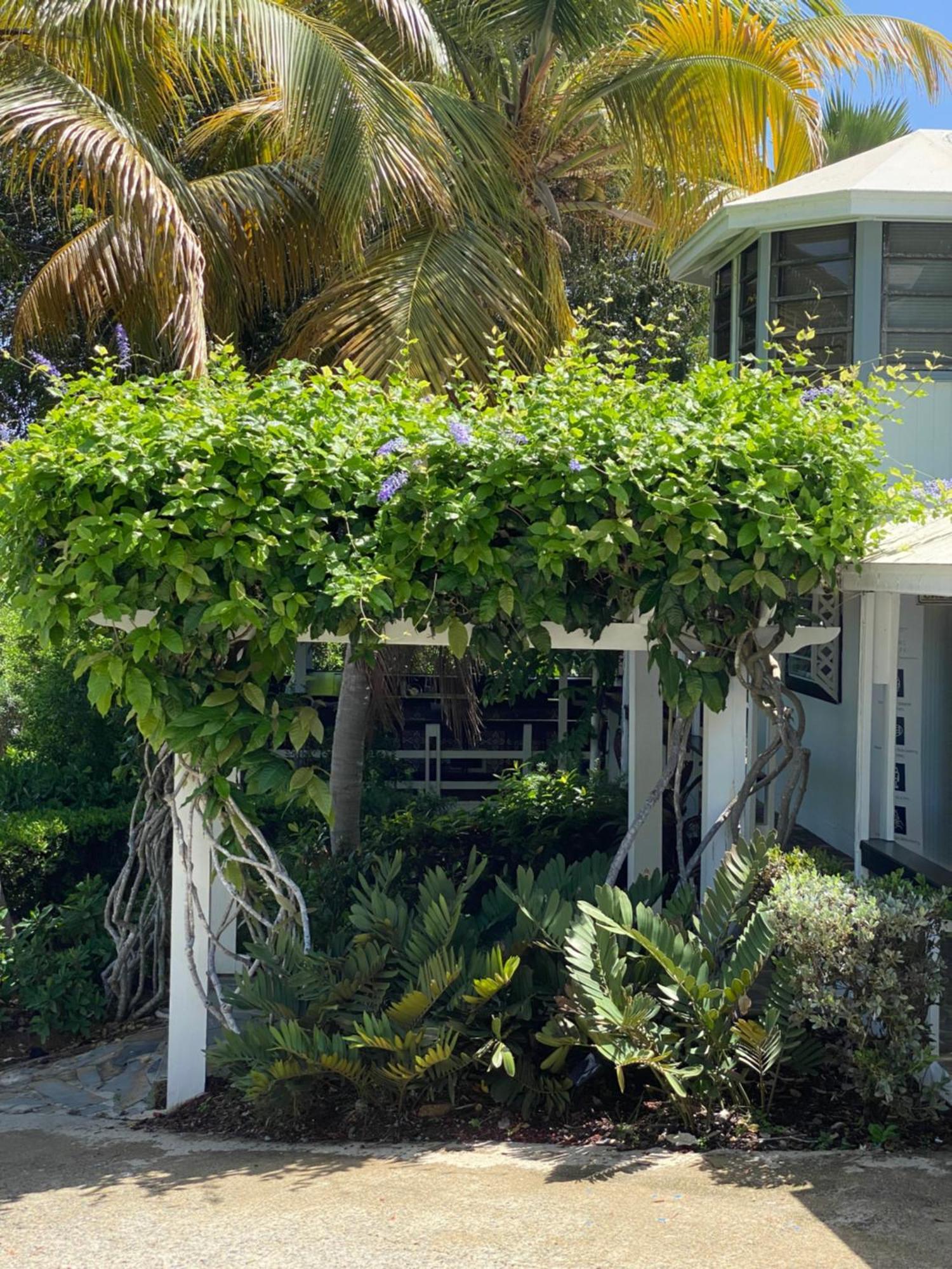 Club Seabourne Hotel Isla Culebra ภายนอก รูปภาพ